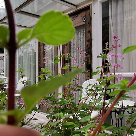 Shenzhen No'6 Garden Villa --French Window With Garden View,Close To Sea World &Shekou Ferry Port &K11 Ecoast &Subway Nearby ,Offer Western Food And Coffee &English Speaking With Tour Services Eksteriør bilde