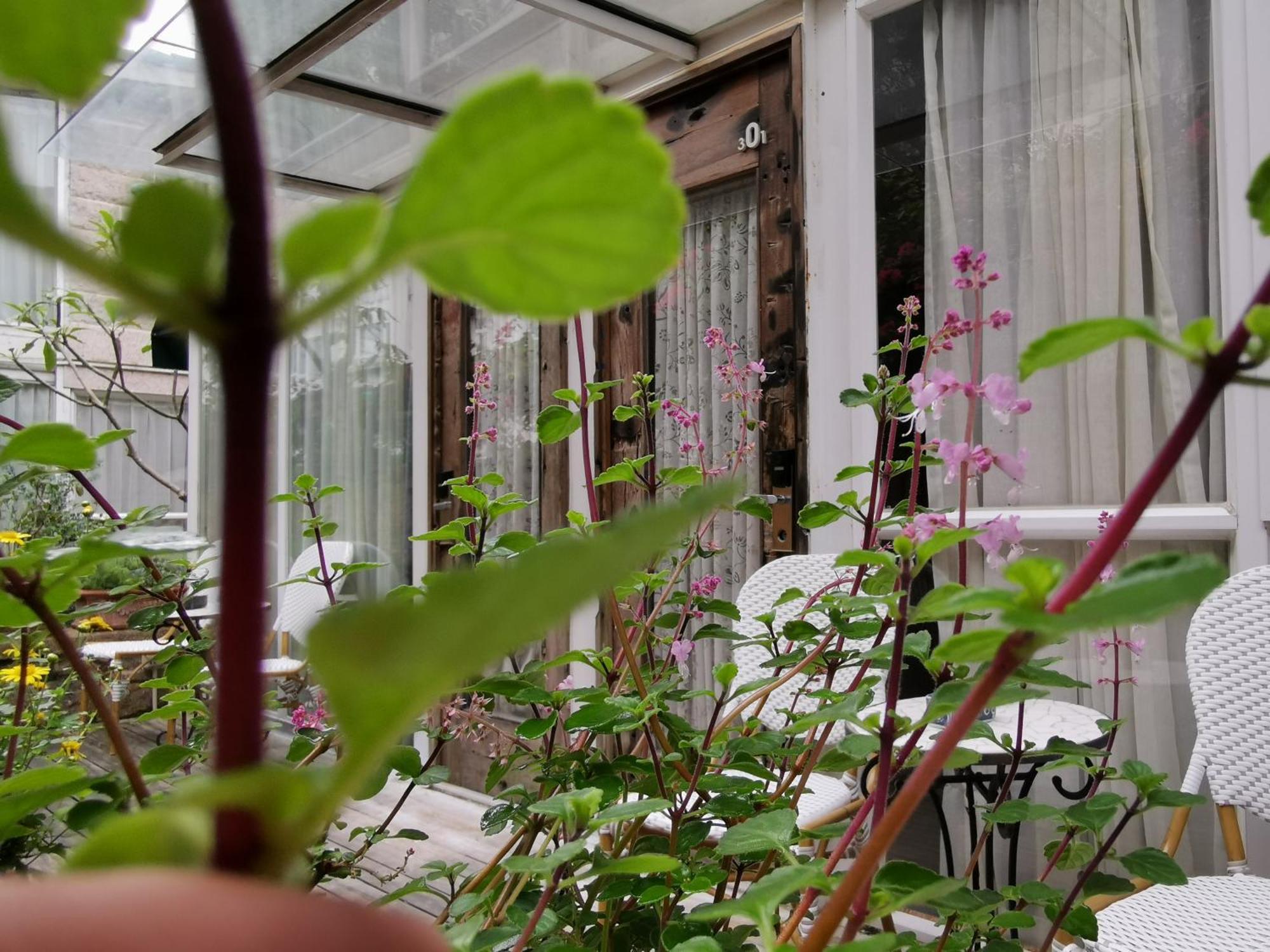 Shenzhen No'6 Garden Villa --French Window With Garden View,Close To Sea World &Shekou Ferry Port &K11 Ecoast &Subway Nearby ,Offer Western Food And Coffee &English Speaking With Tour Services Eksteriør bilde